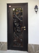 Стекло-металлическая дверь с кованными элементами